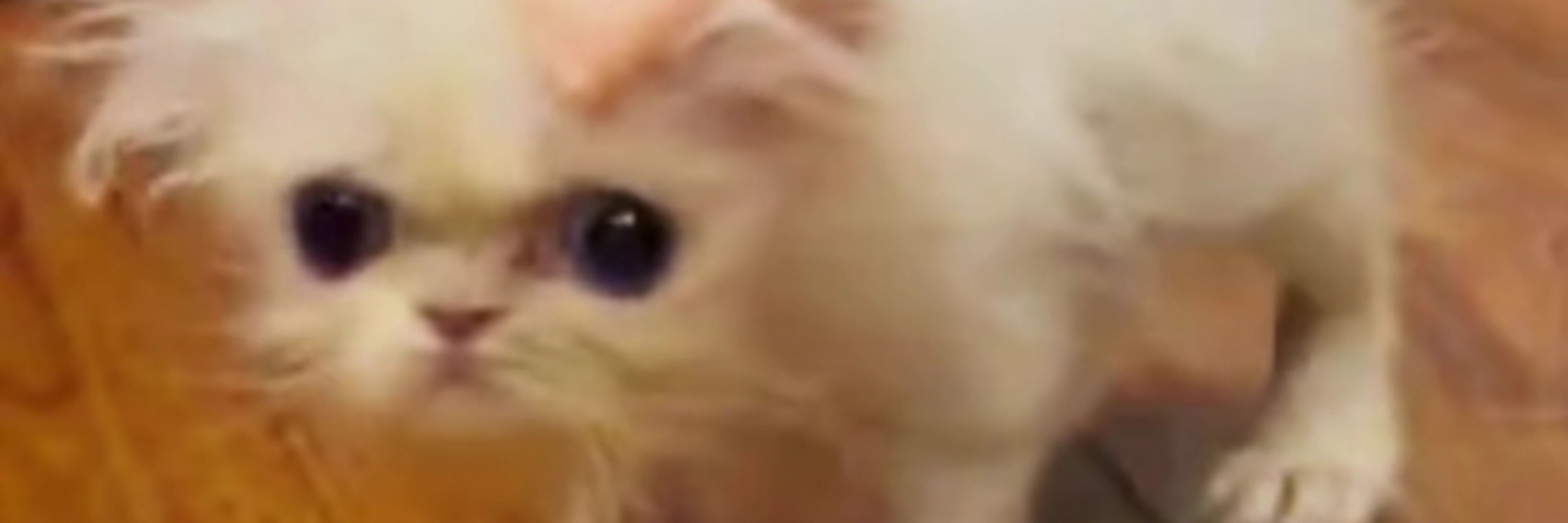 Danran