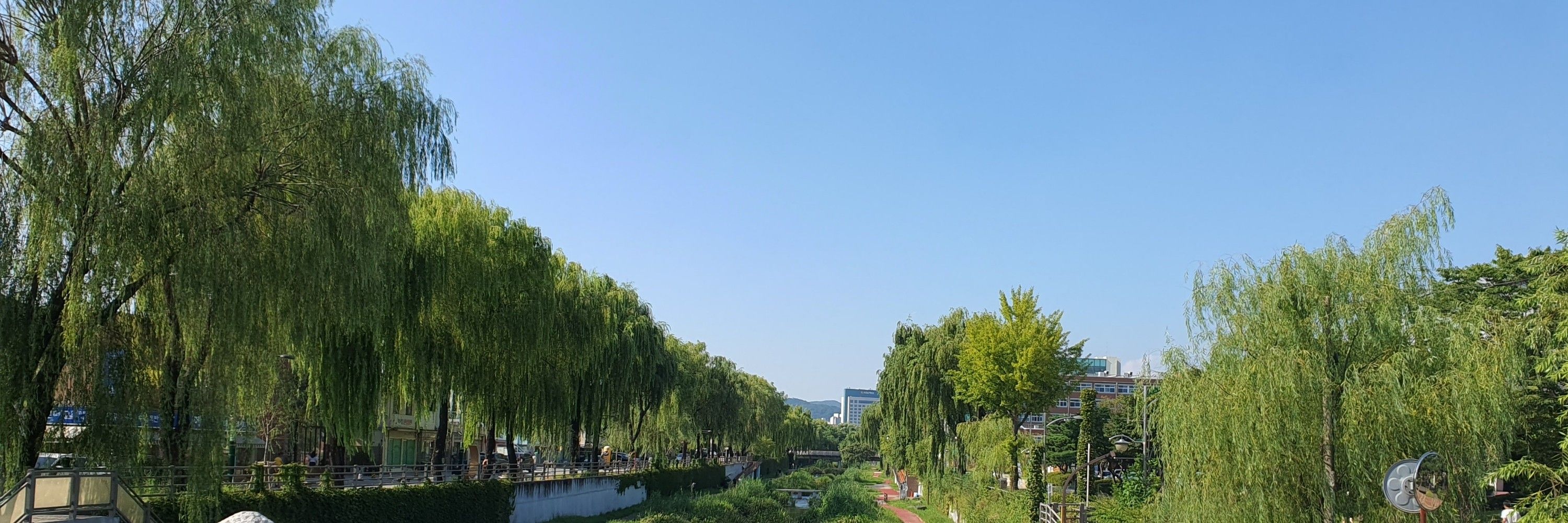 마님
