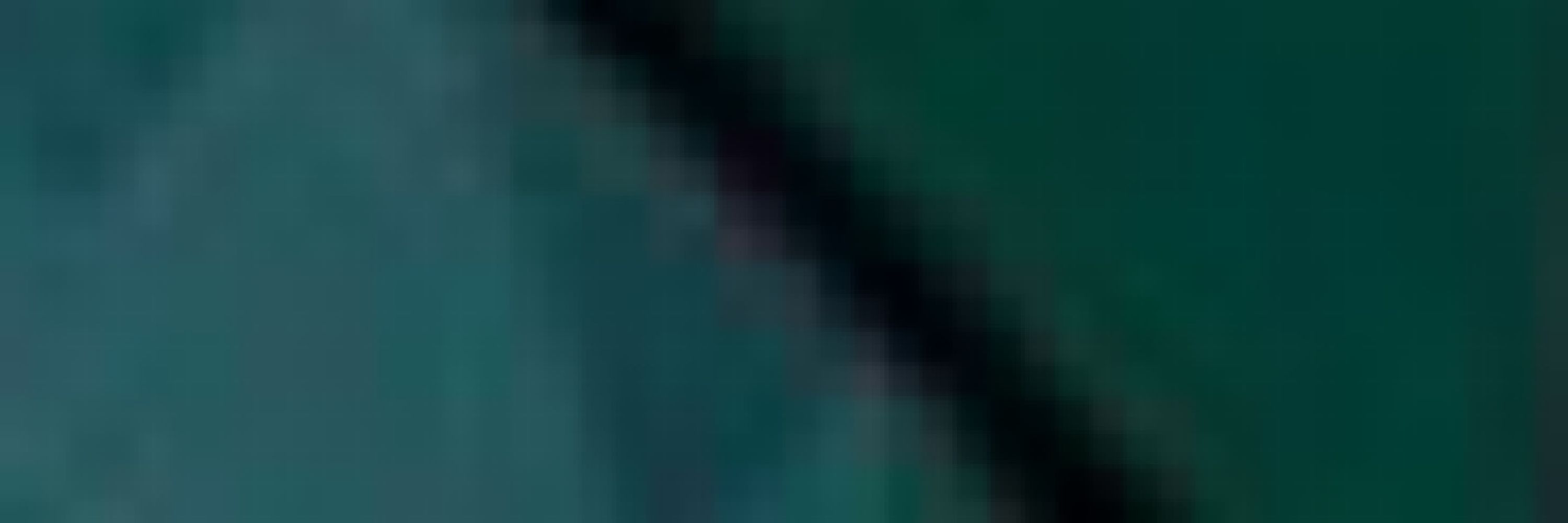 AdaptedMind.exe