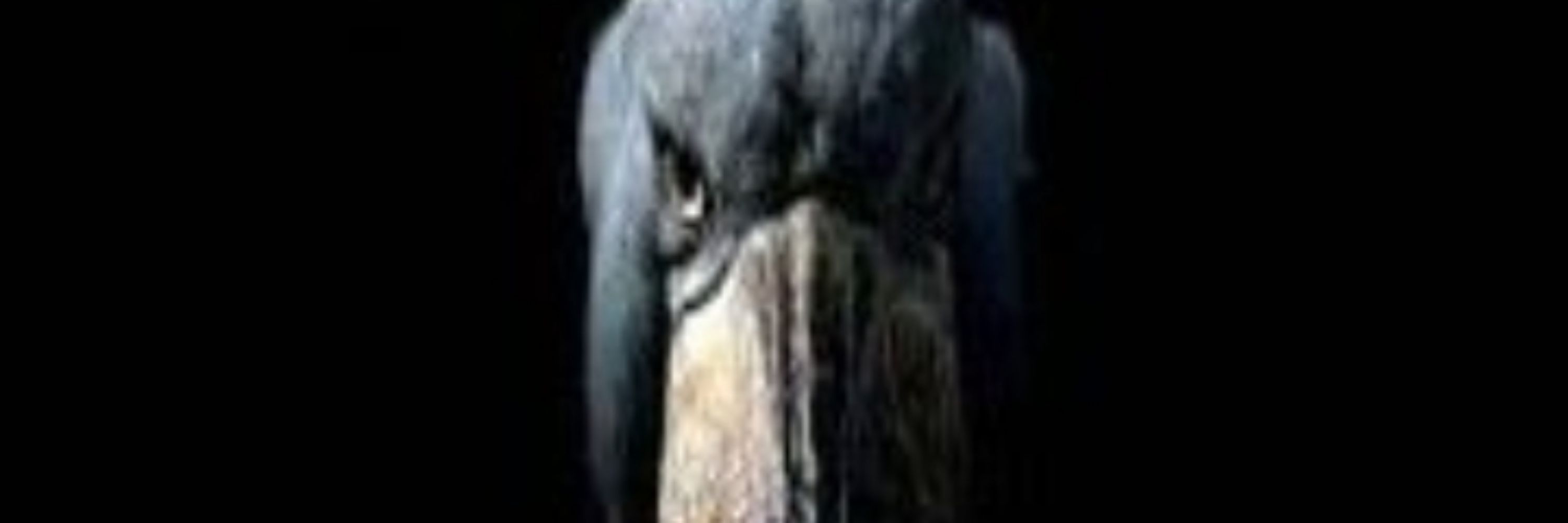 hiroshiEqs