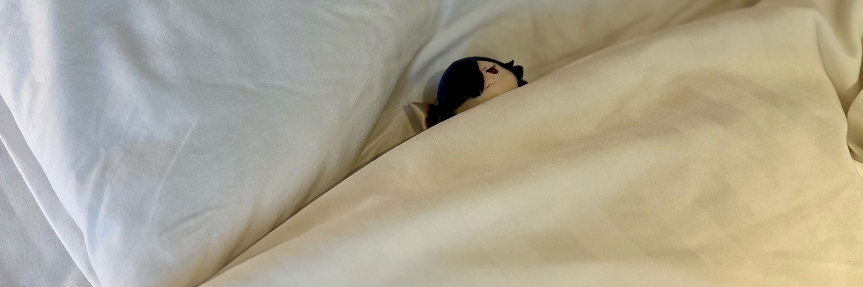 蒸したフォカッチャ
