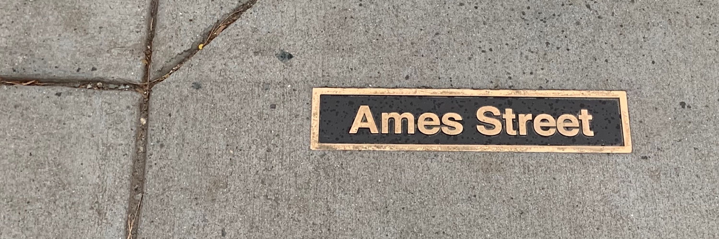 ✨bond, ames bond ✨