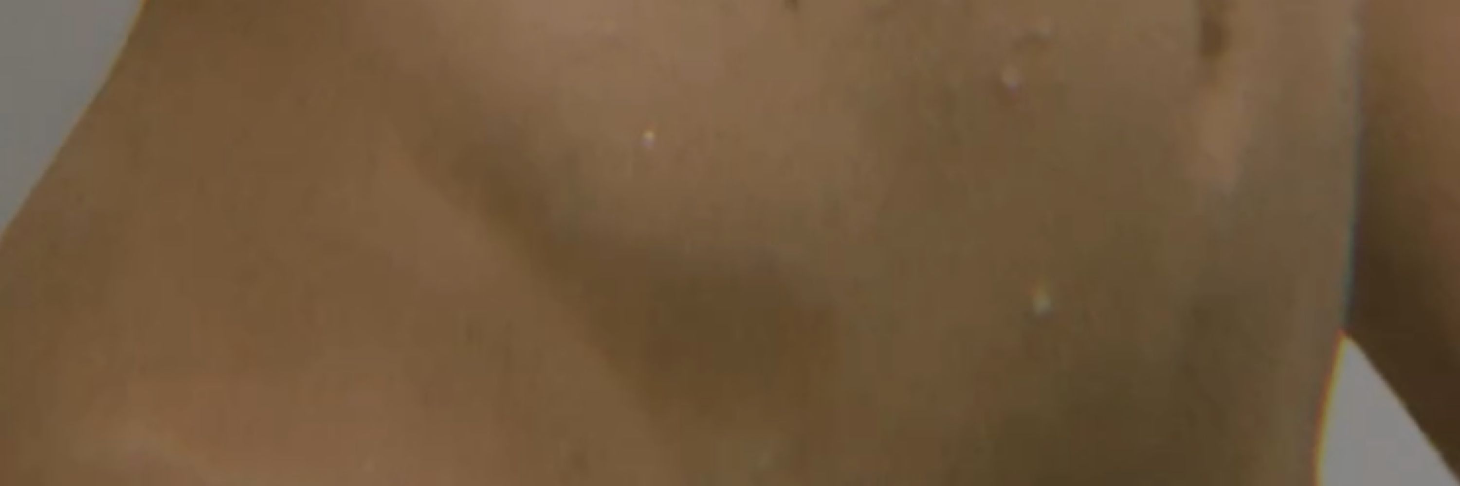 NovinhoTzudo