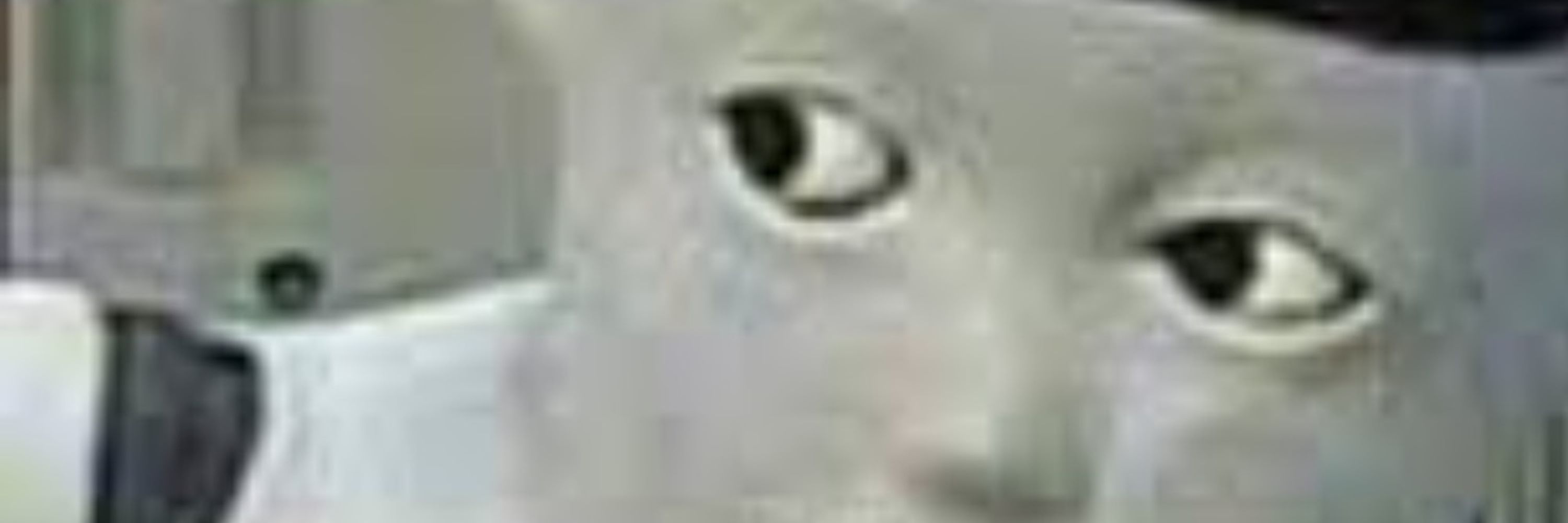 xxxtyt