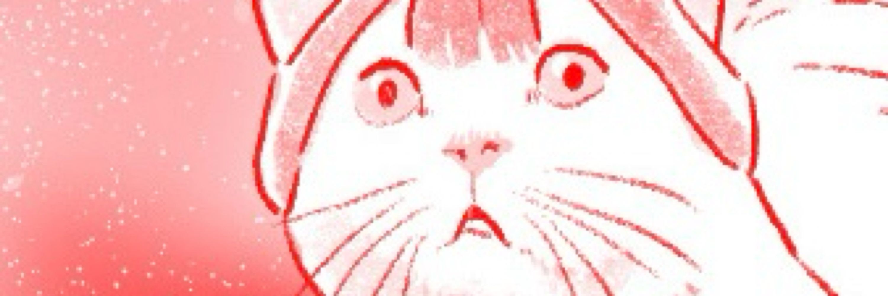ほた