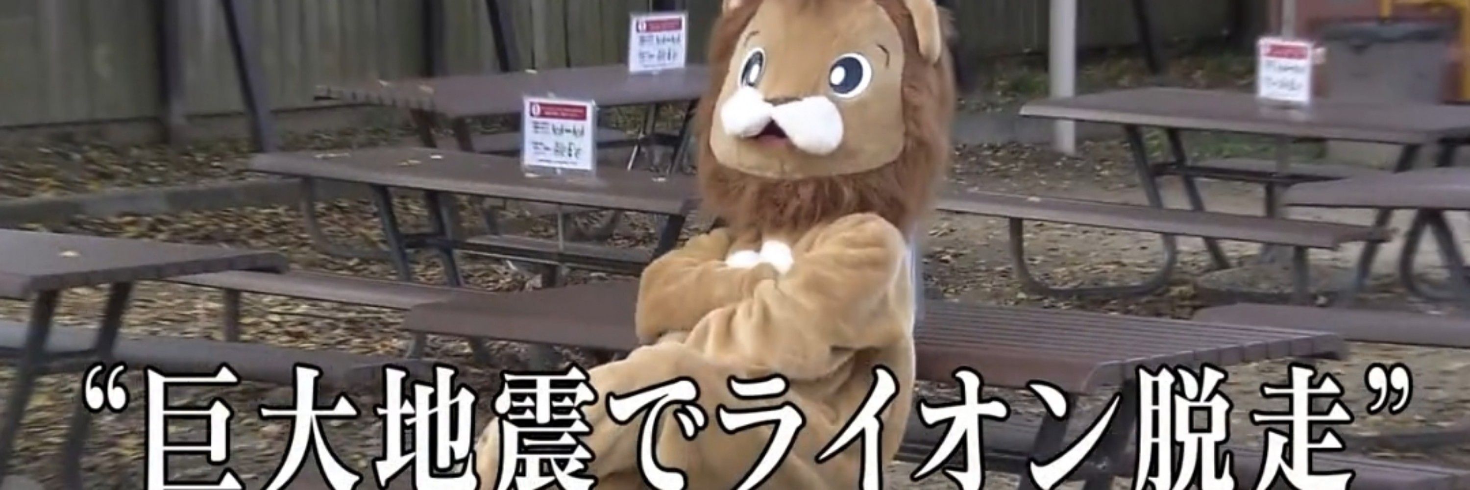 ｺﾊｰｻﾝ