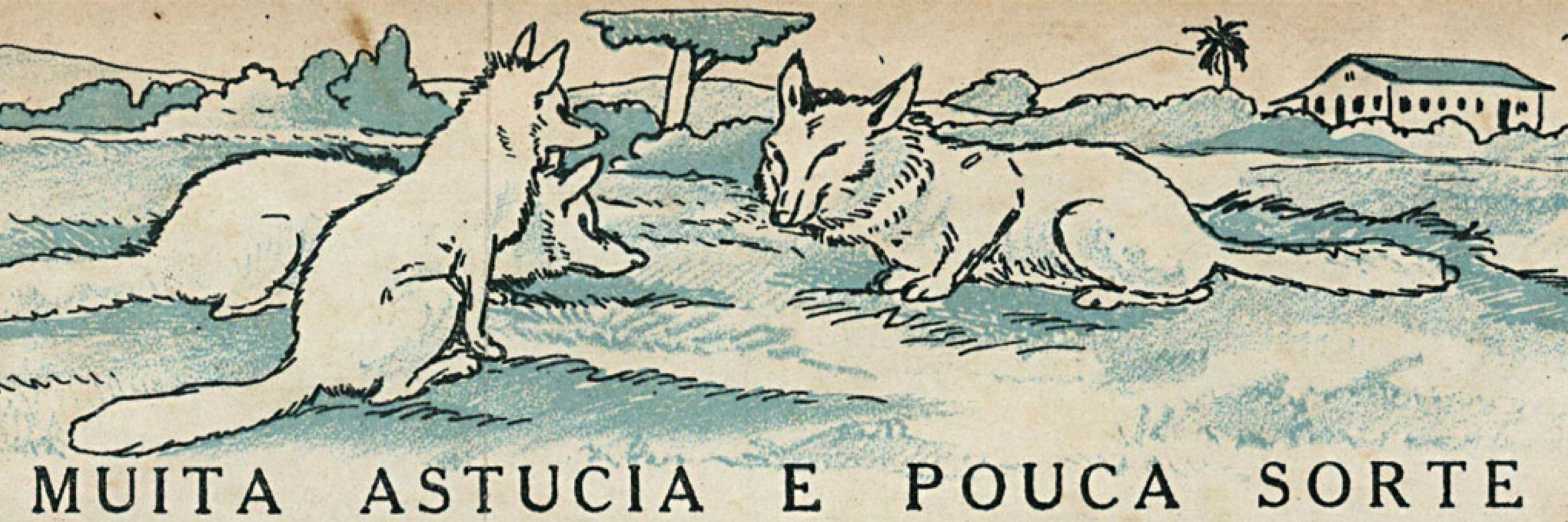 maluca peste bruxa feiticeira 