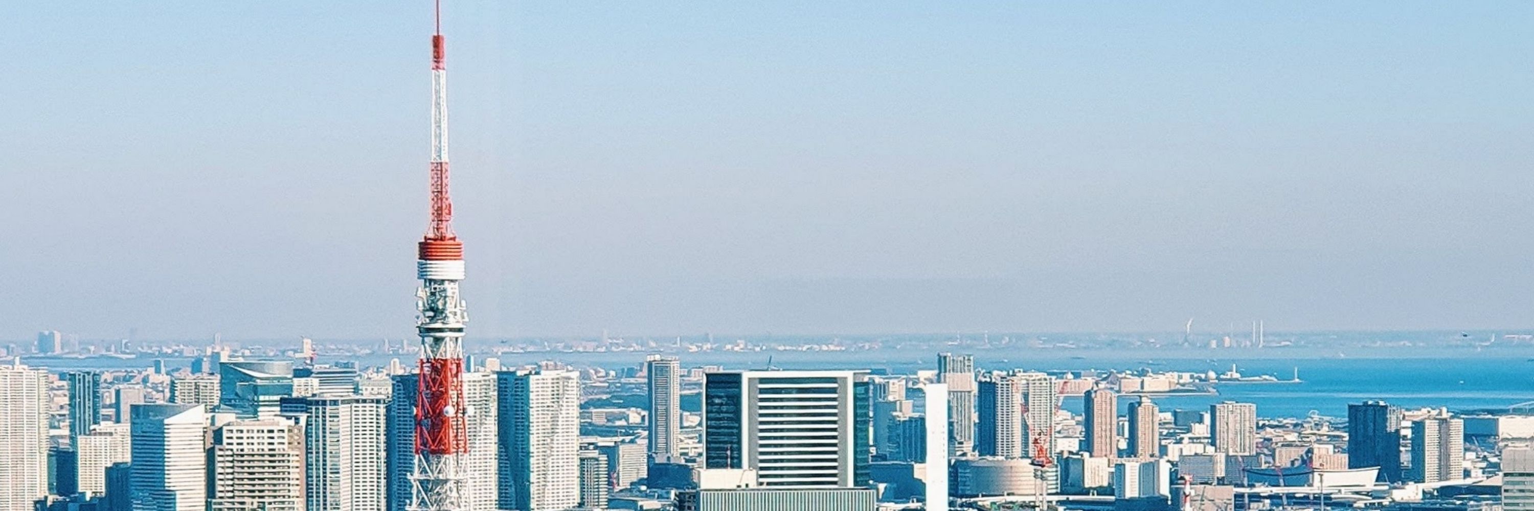 Simão