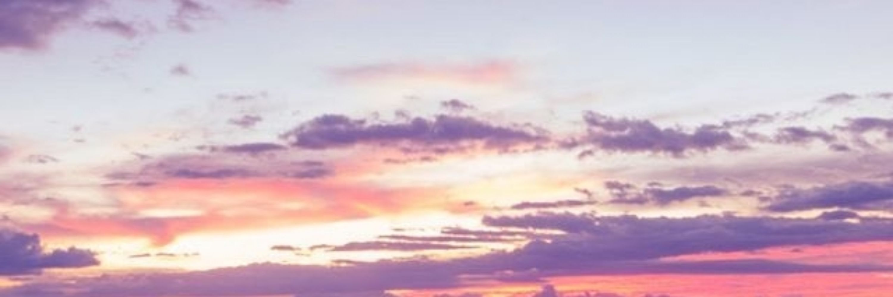 💜
