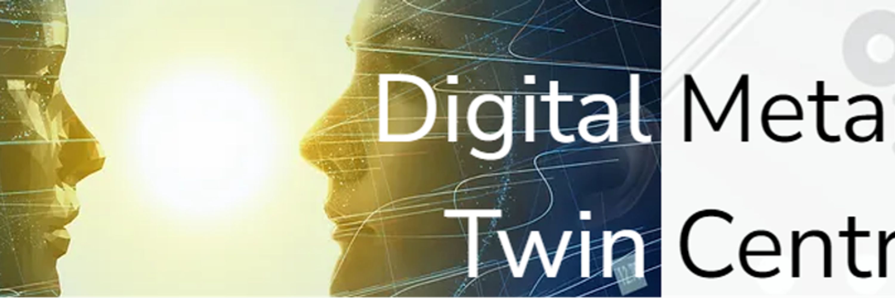 Digital Metabolic Twin Centre