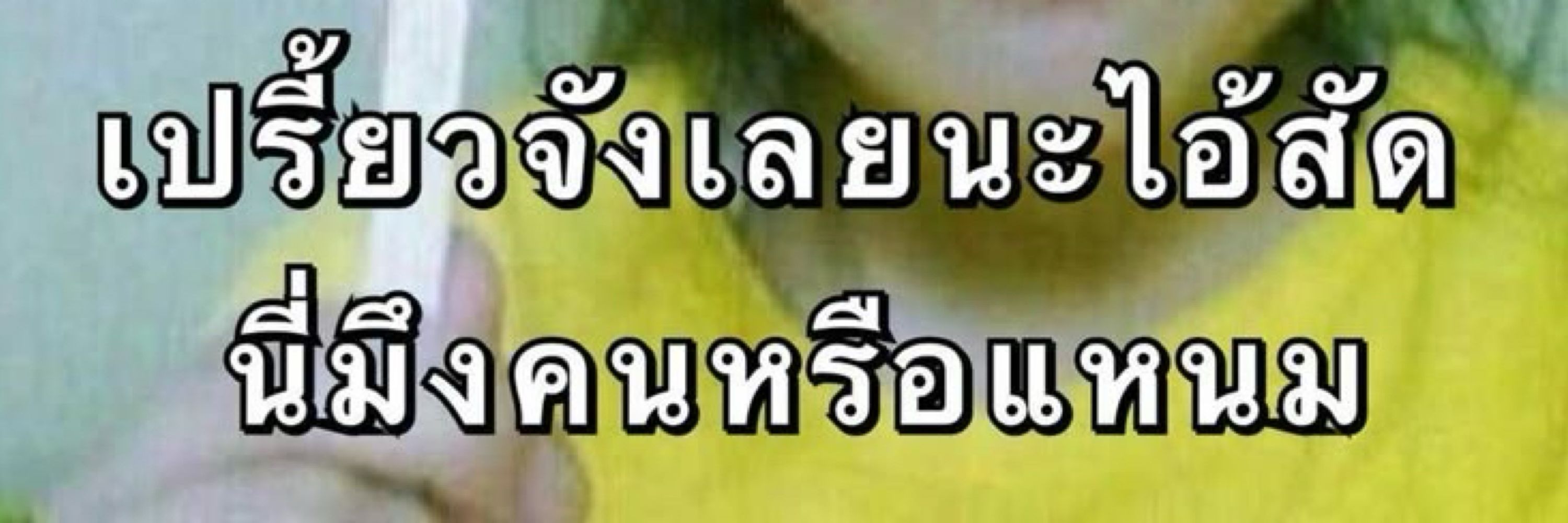 giveaxm