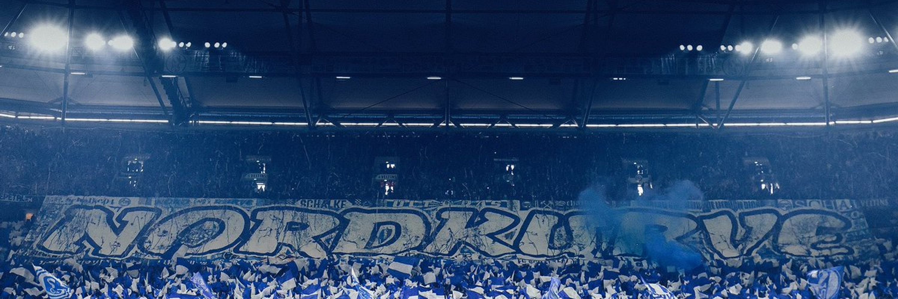 💙Tim🤍