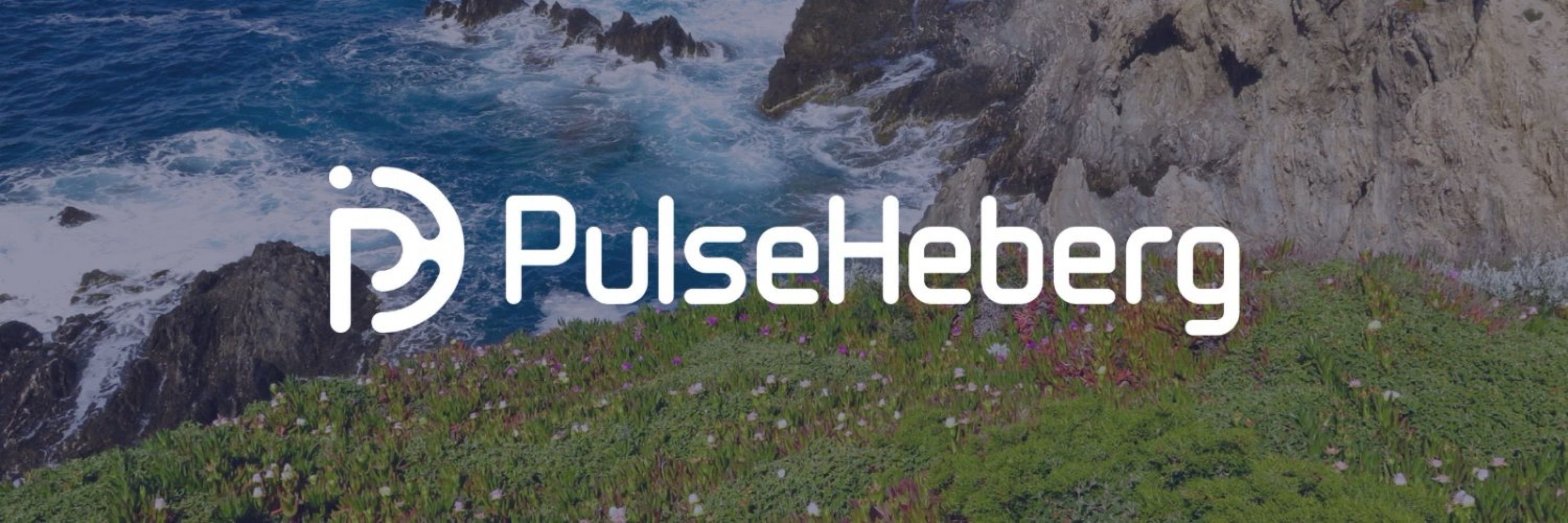 PulseHeberg