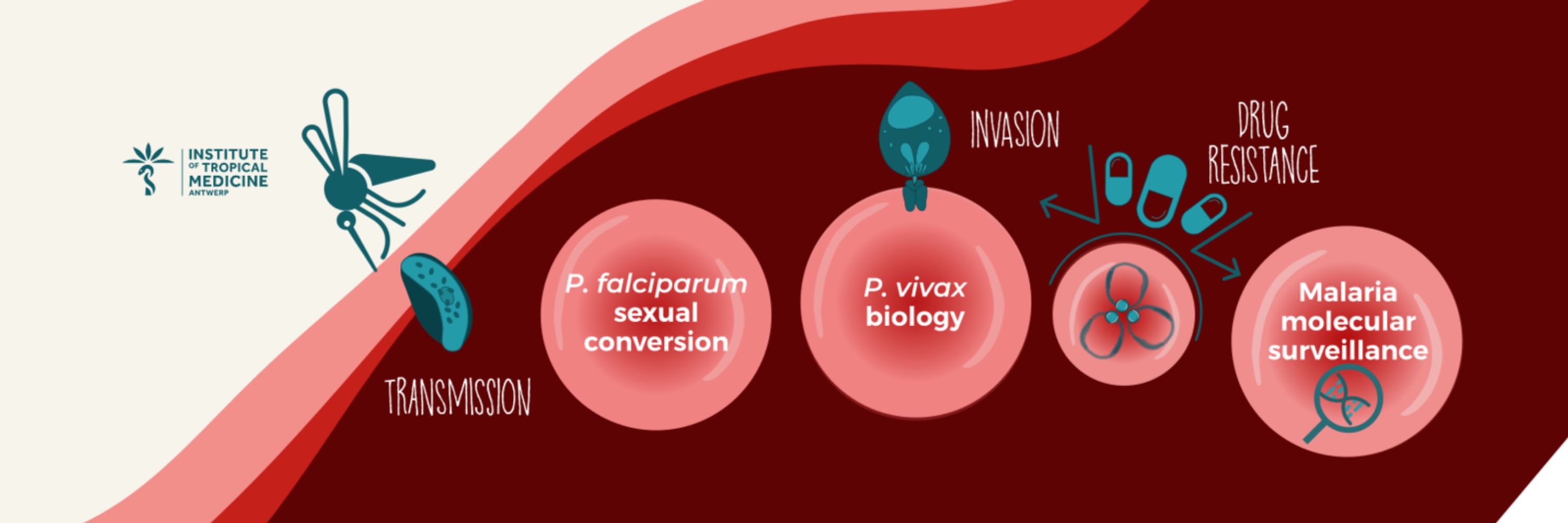 Malariology @ ITM