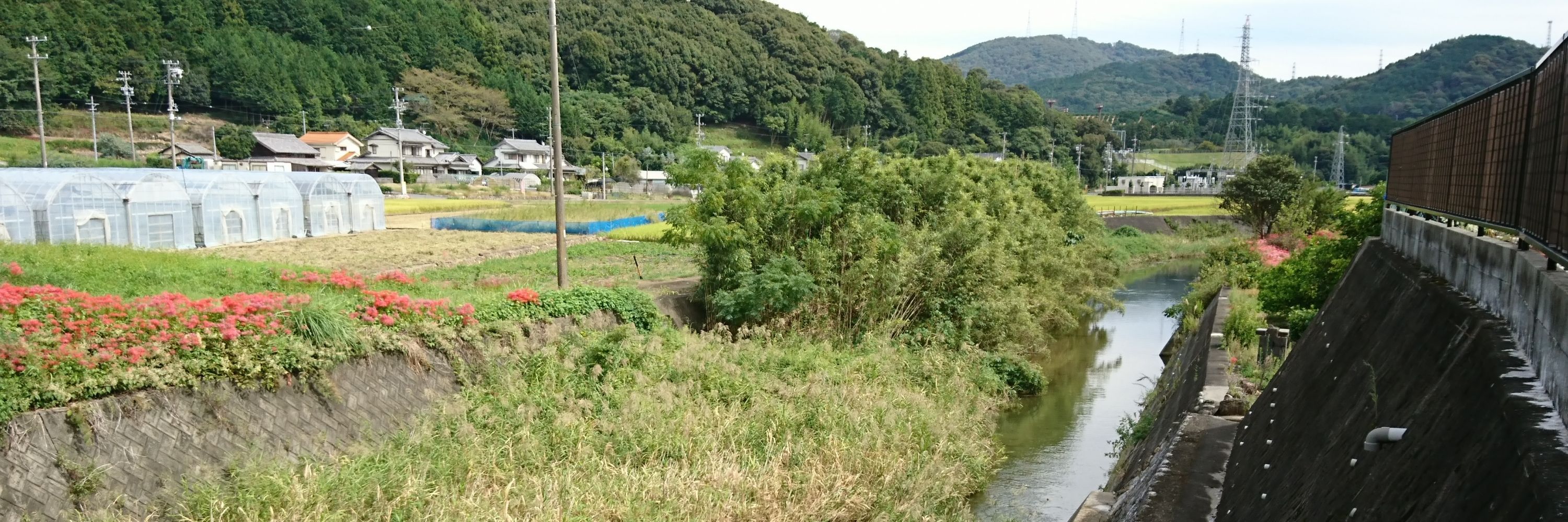 水瀬
