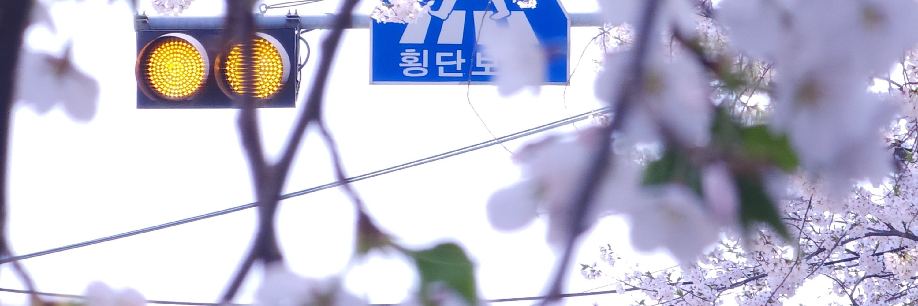워누