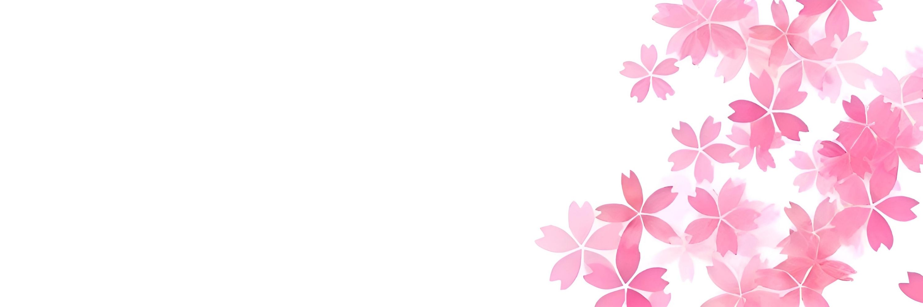 💮アリス