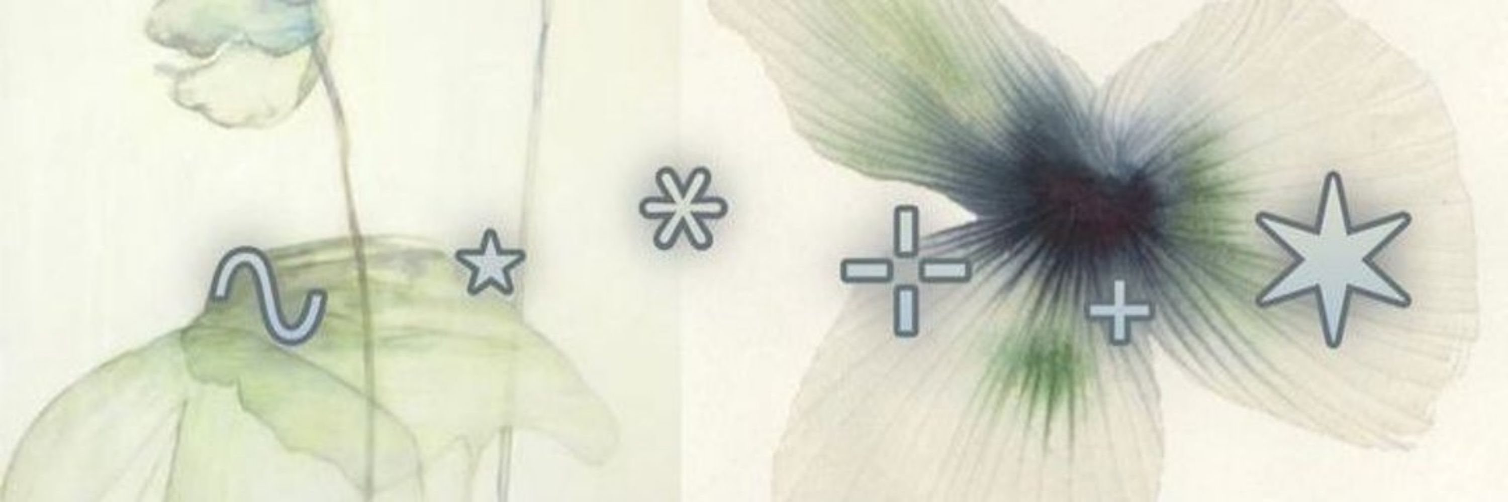 𓄹 