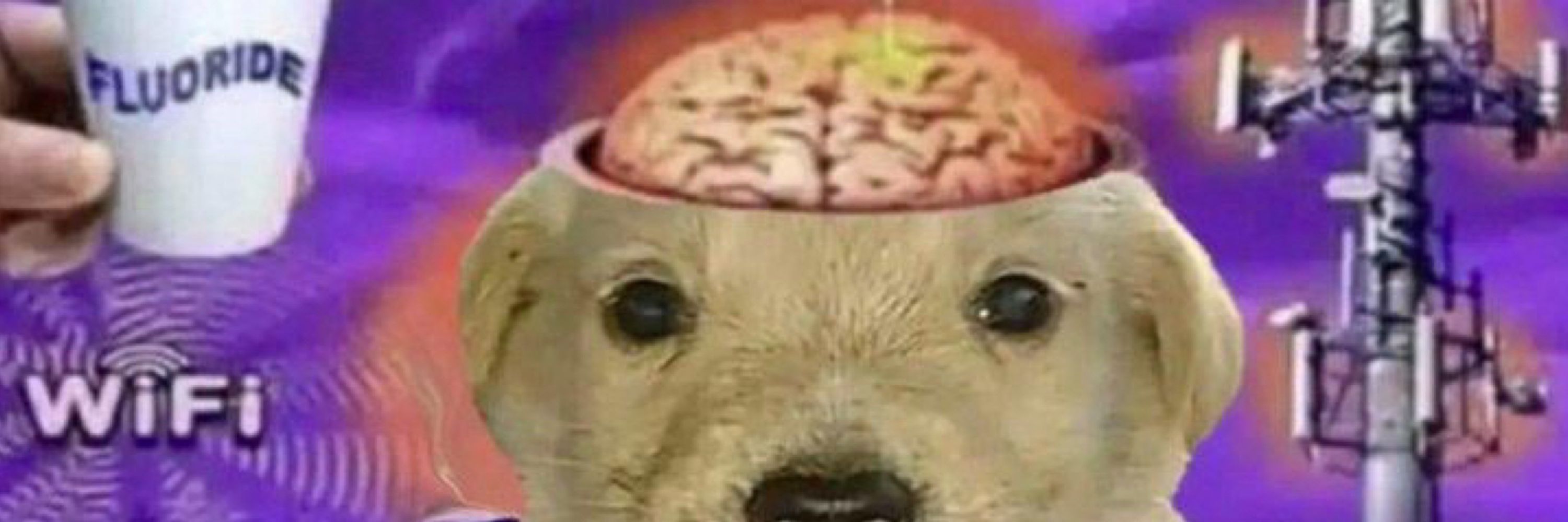 CommieDog
