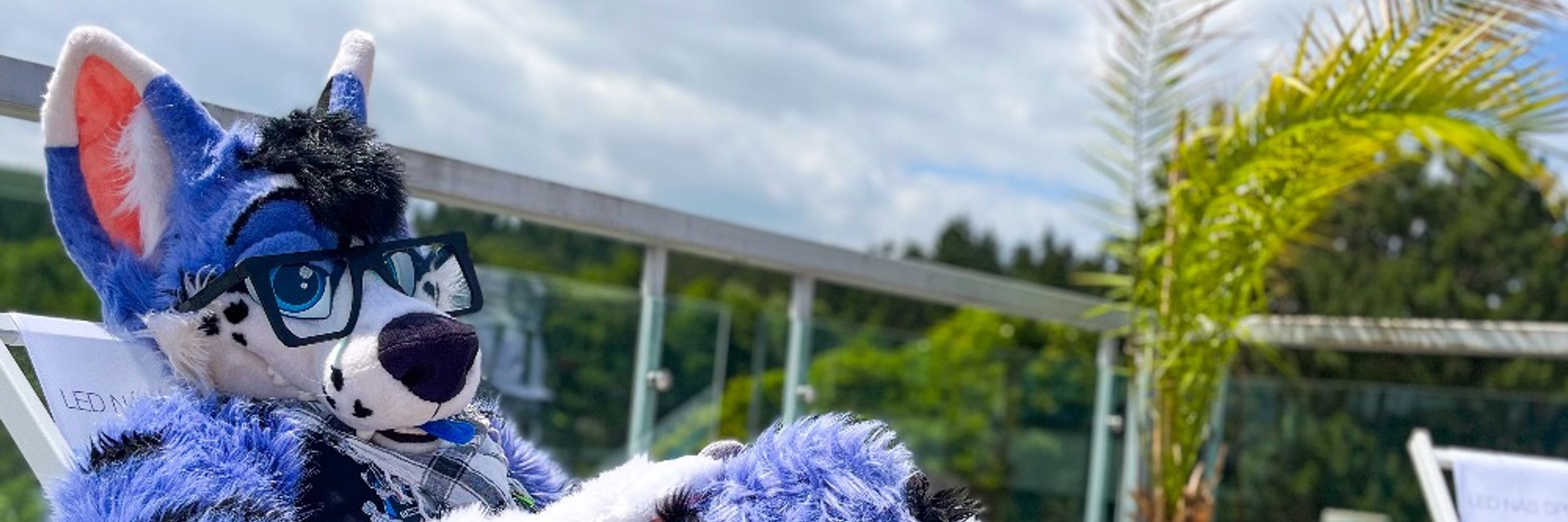 Blueberry 'n Salt