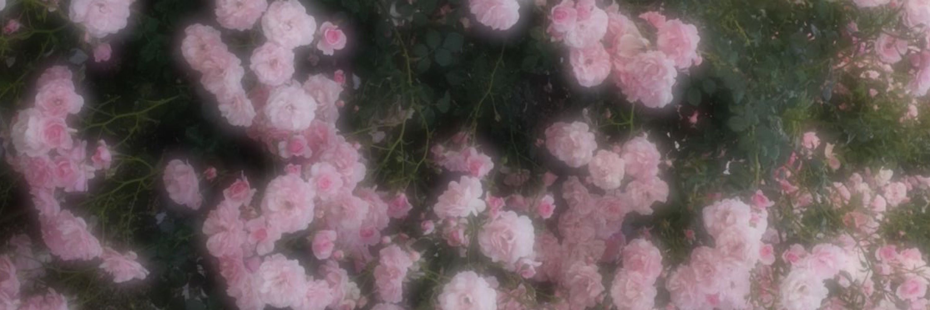 𝑻𝑰𝑰𝑫𝑨