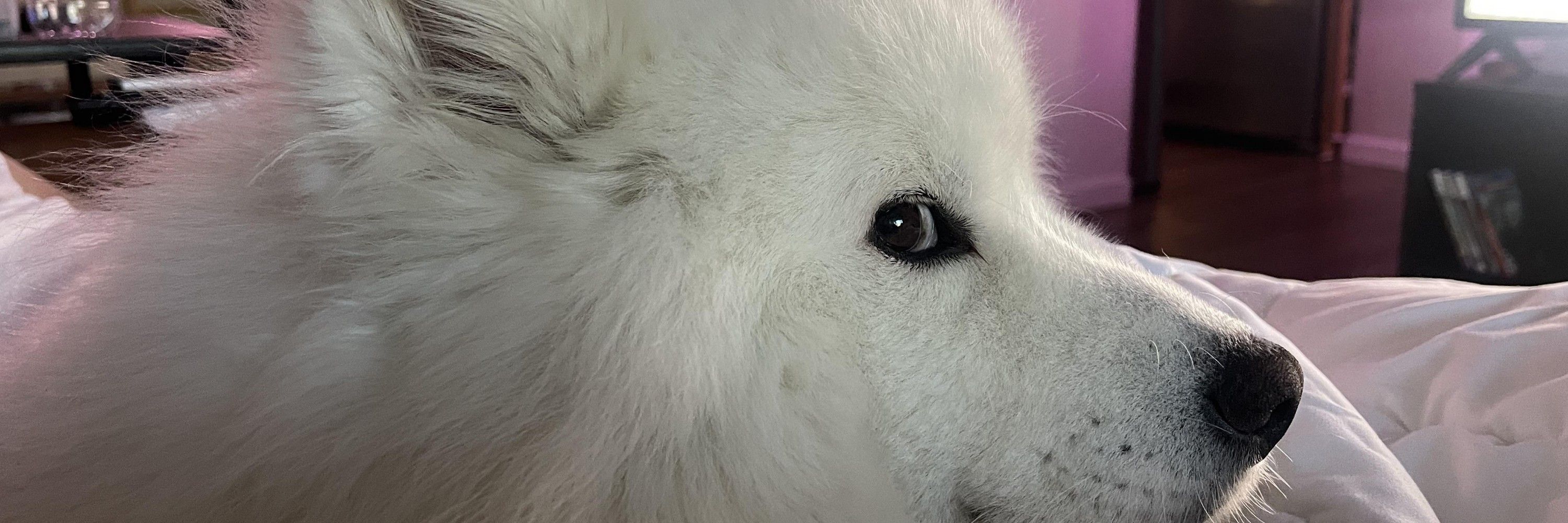 Vashberus