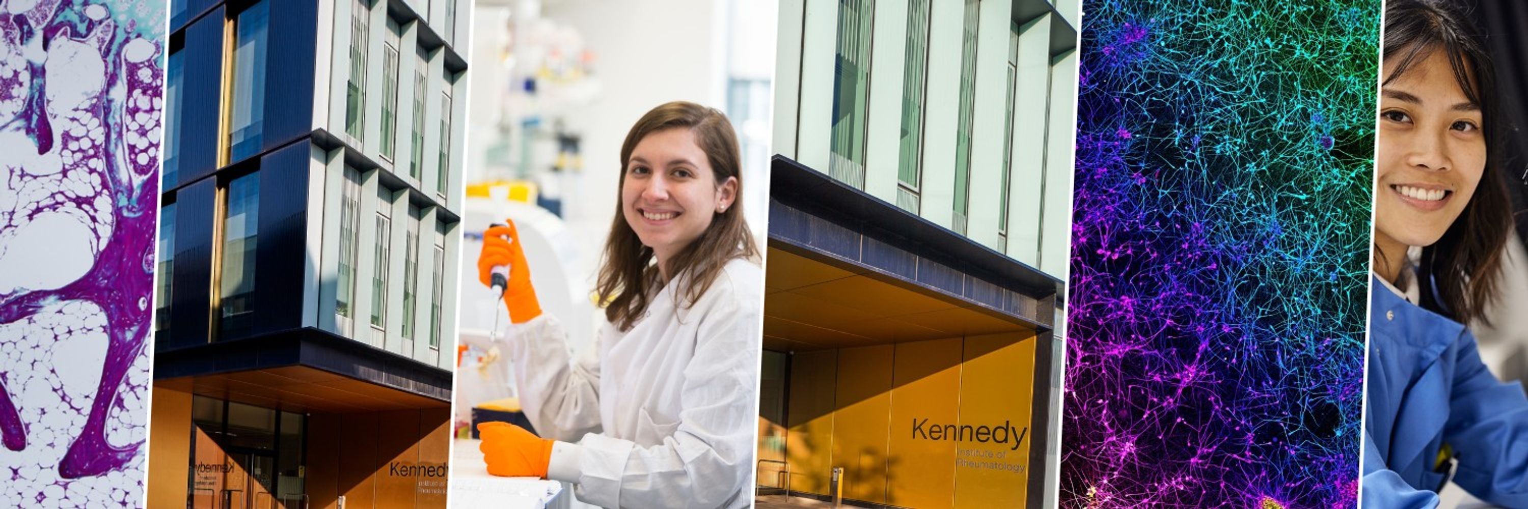 Kennedy Institute of Rheumatology
