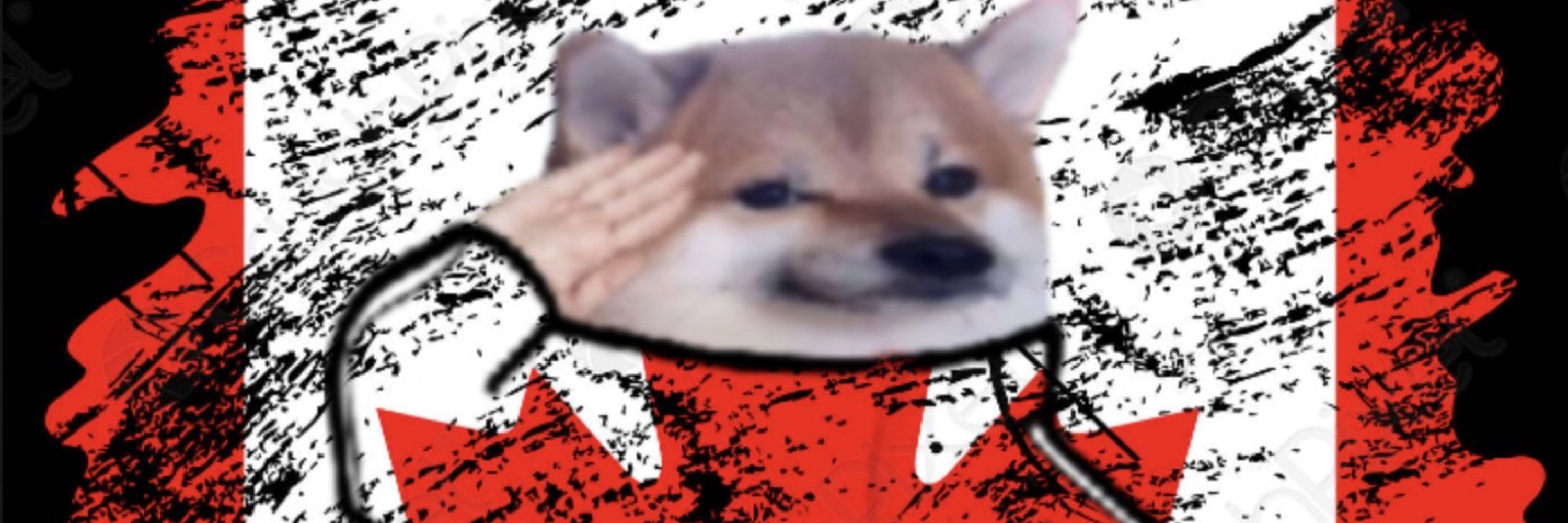Crash Test Canuck Fella 