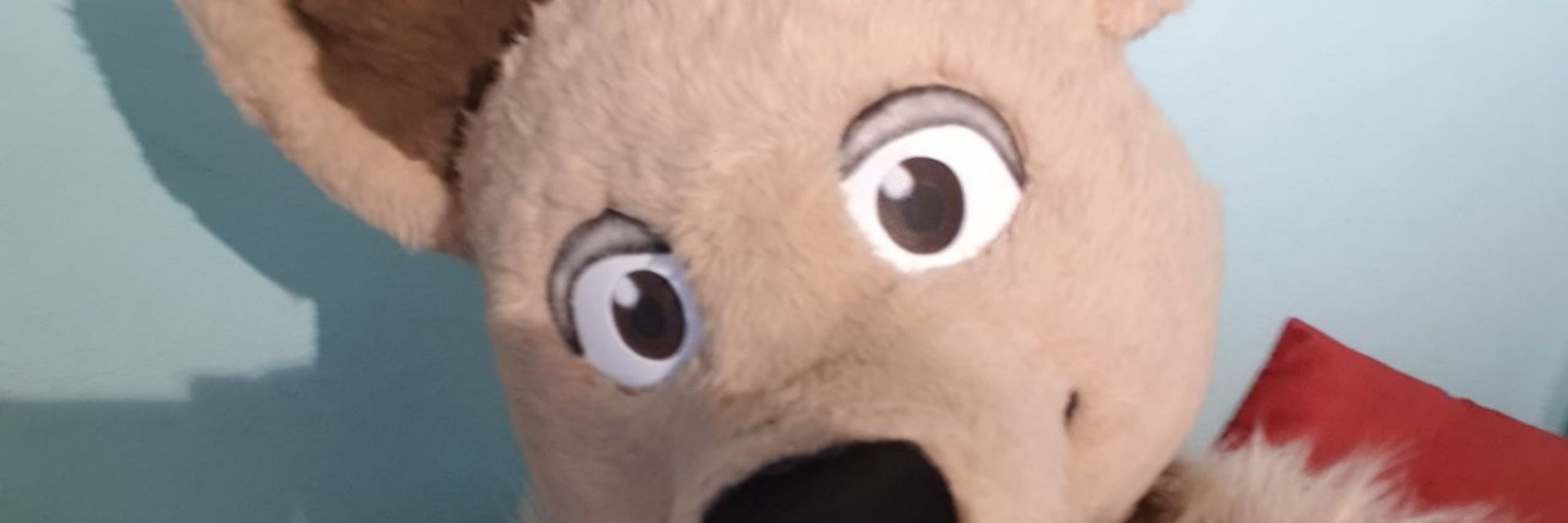Mikeus
