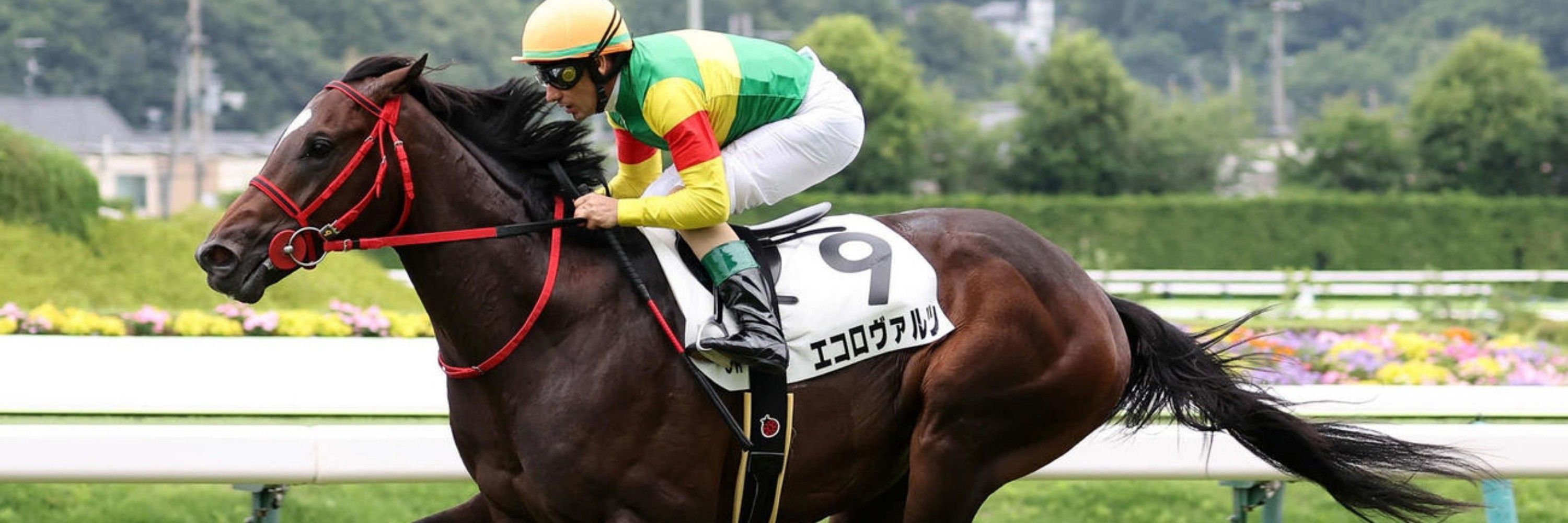 競馬大好きチャンネルNYD