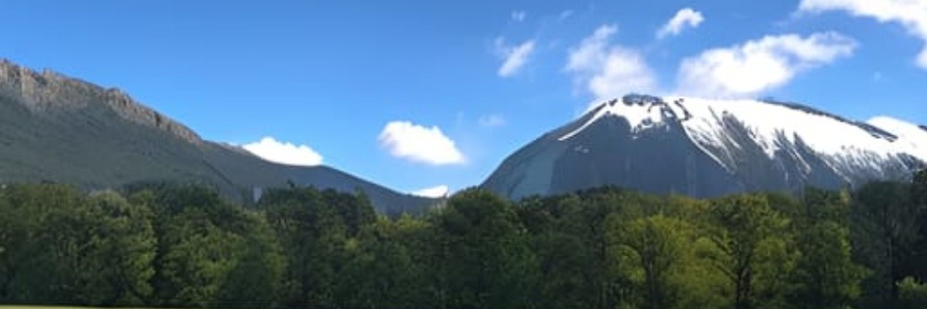 さとう