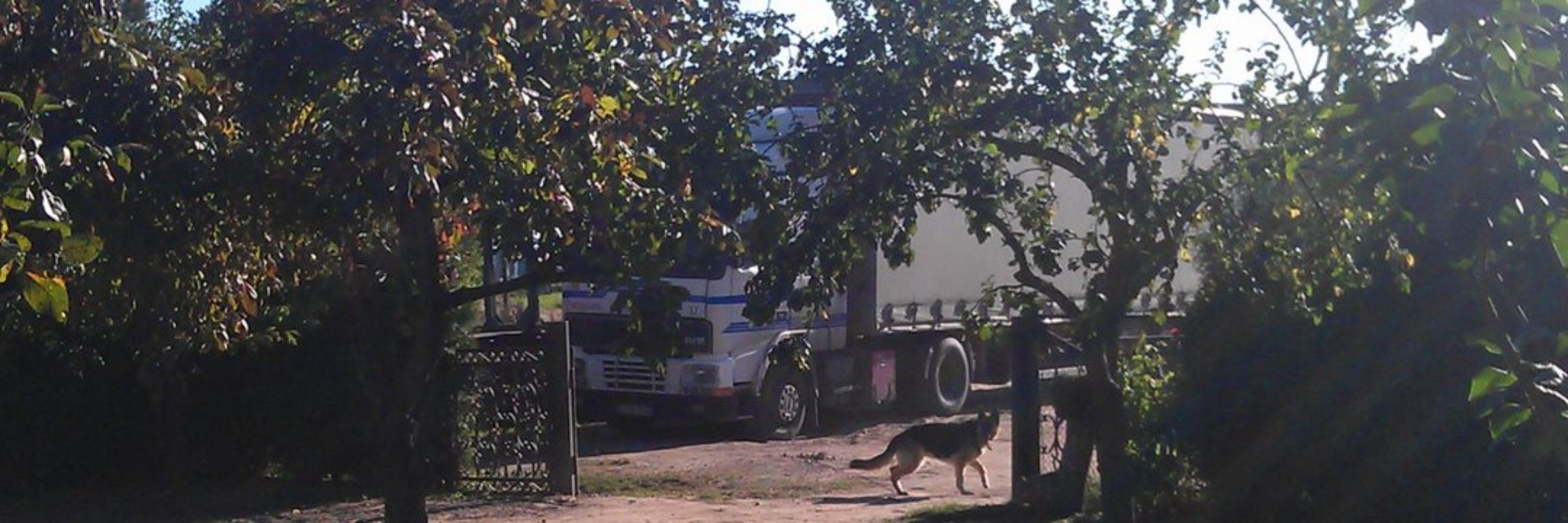 Haroldas Bagdonas
