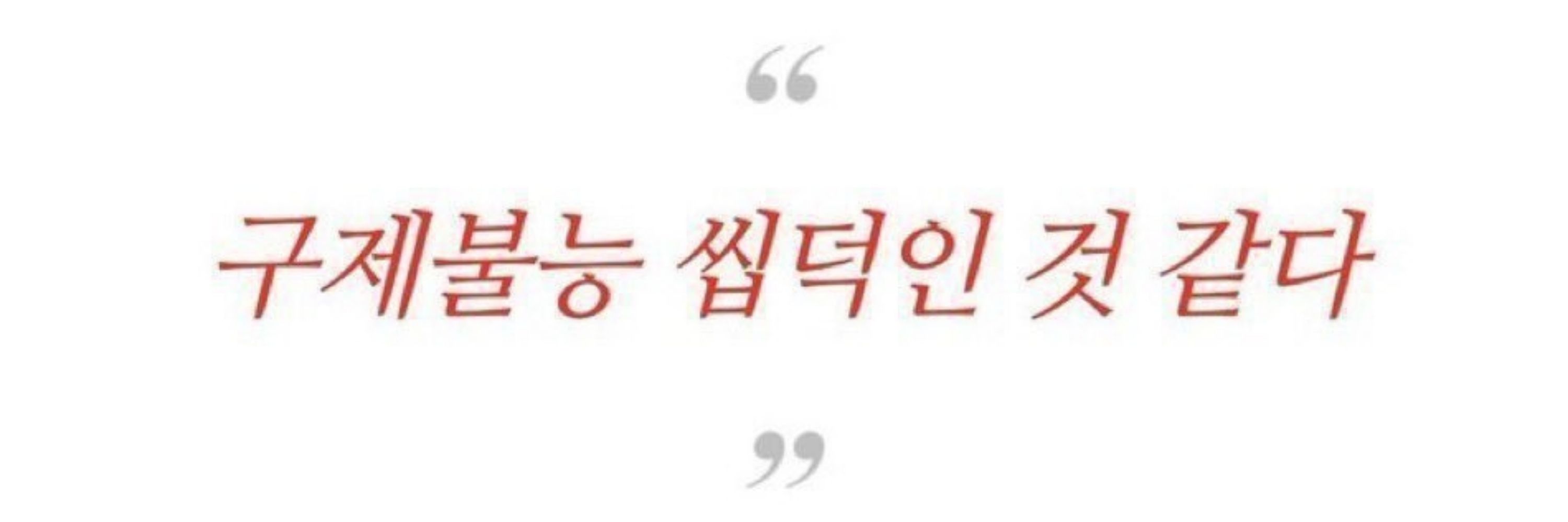 쌍득