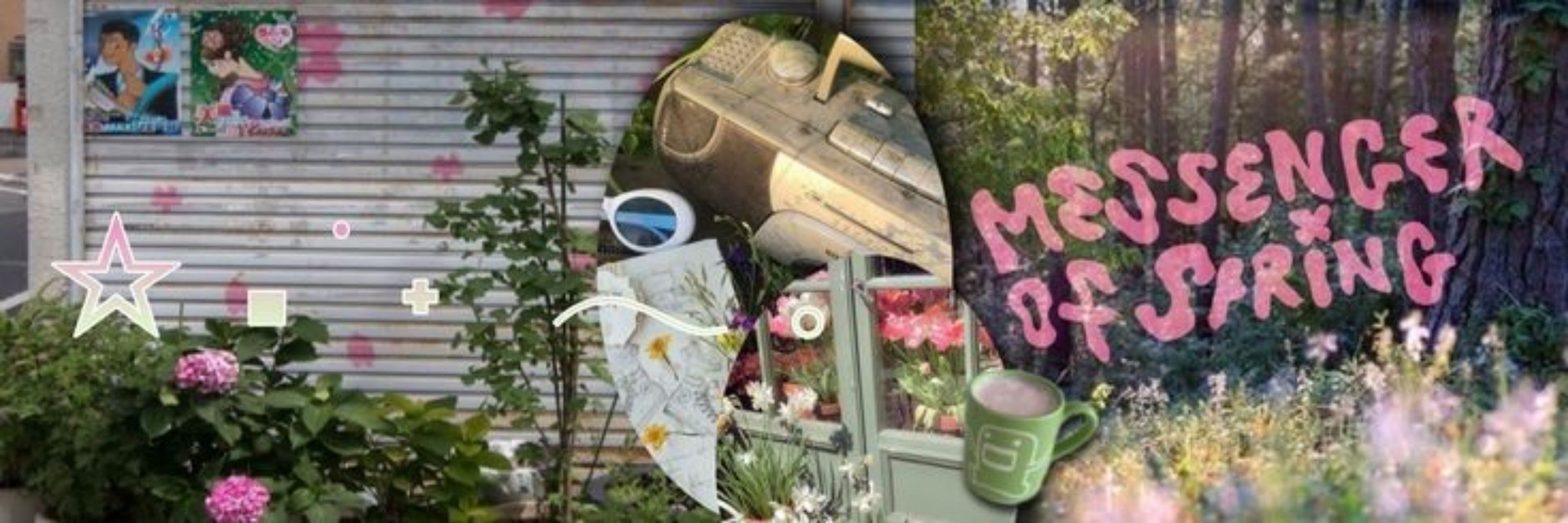 파니아