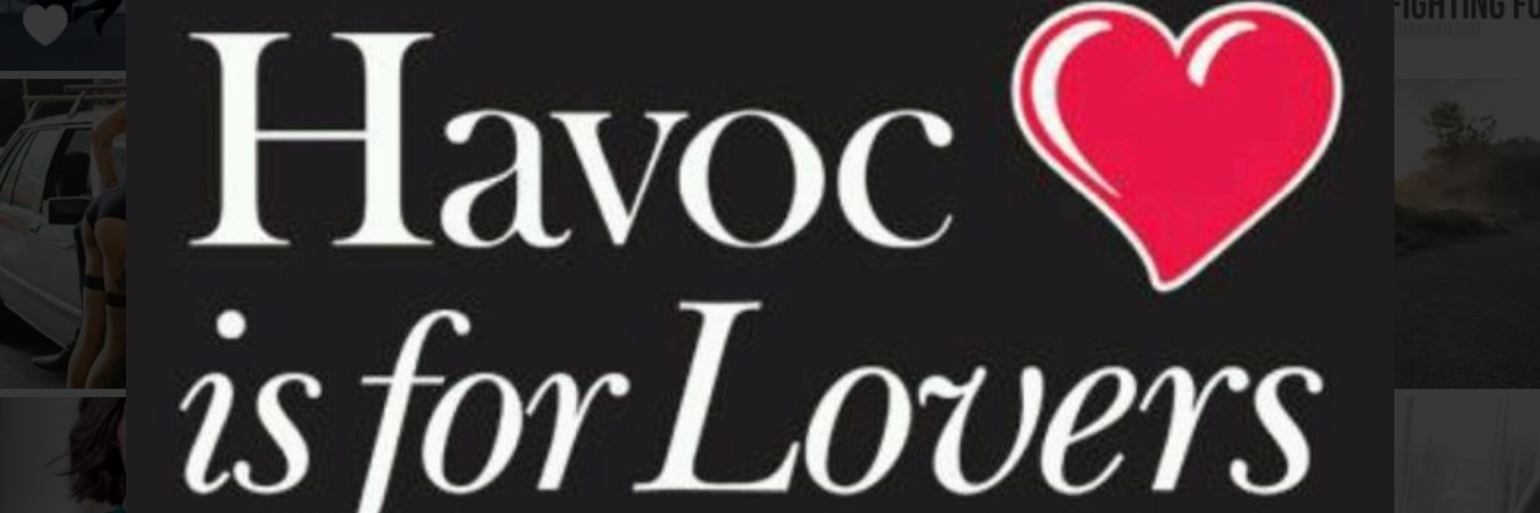 Havoc ( havoc147 bsky social)