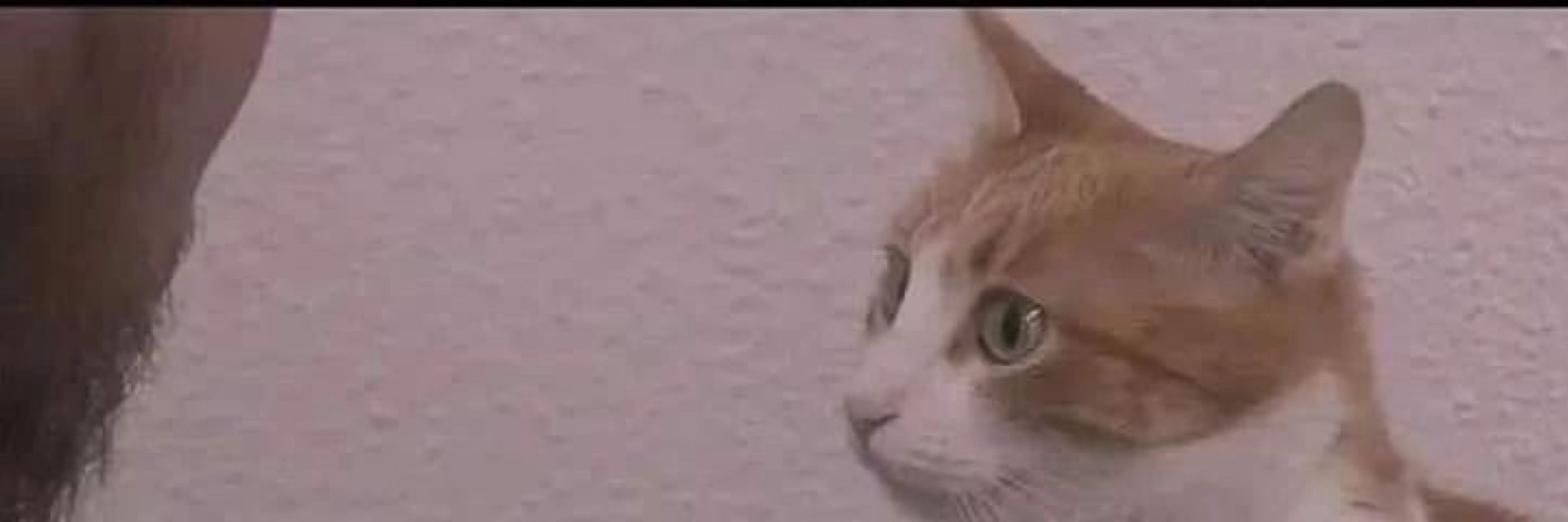 Mateus 