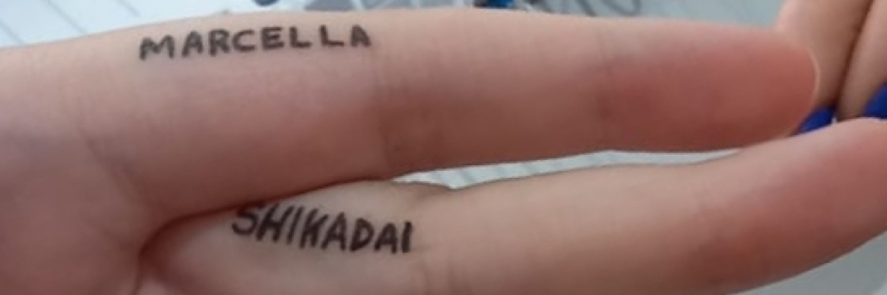 celladtz maru