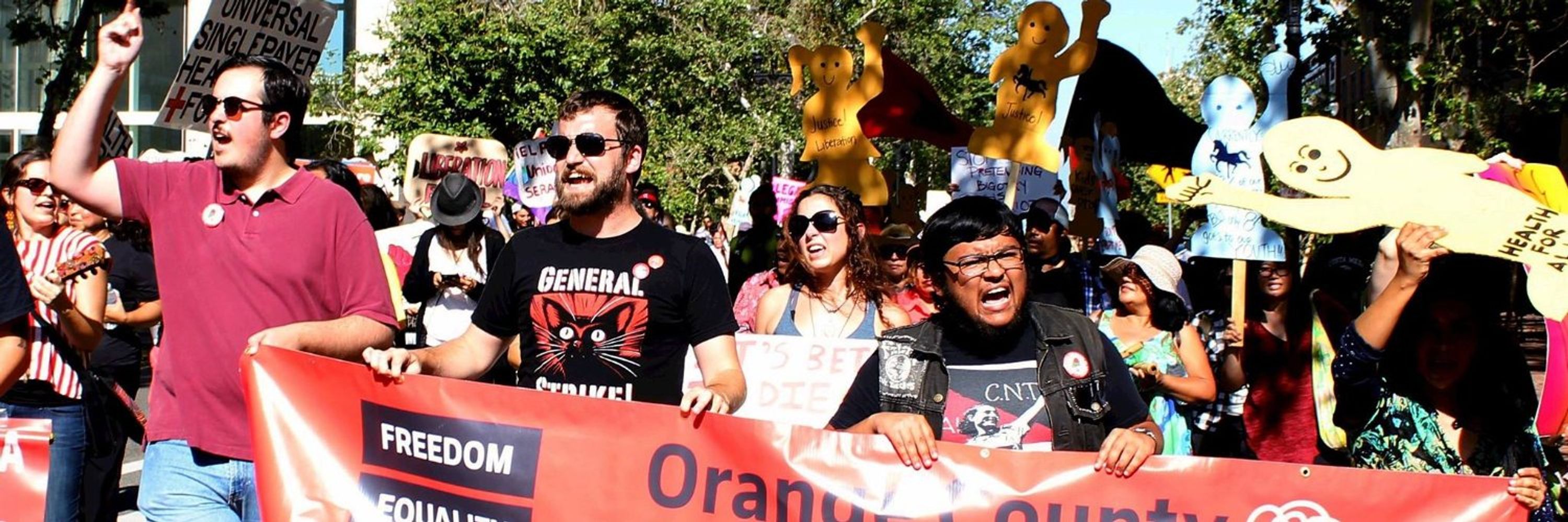 Orange County DSA