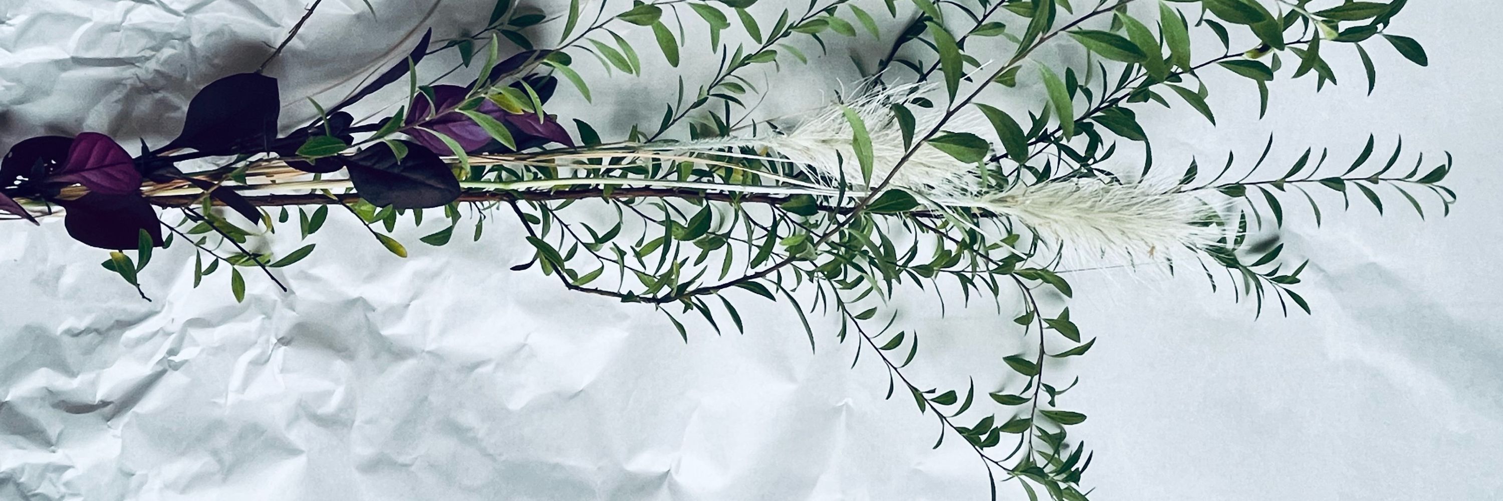 山木