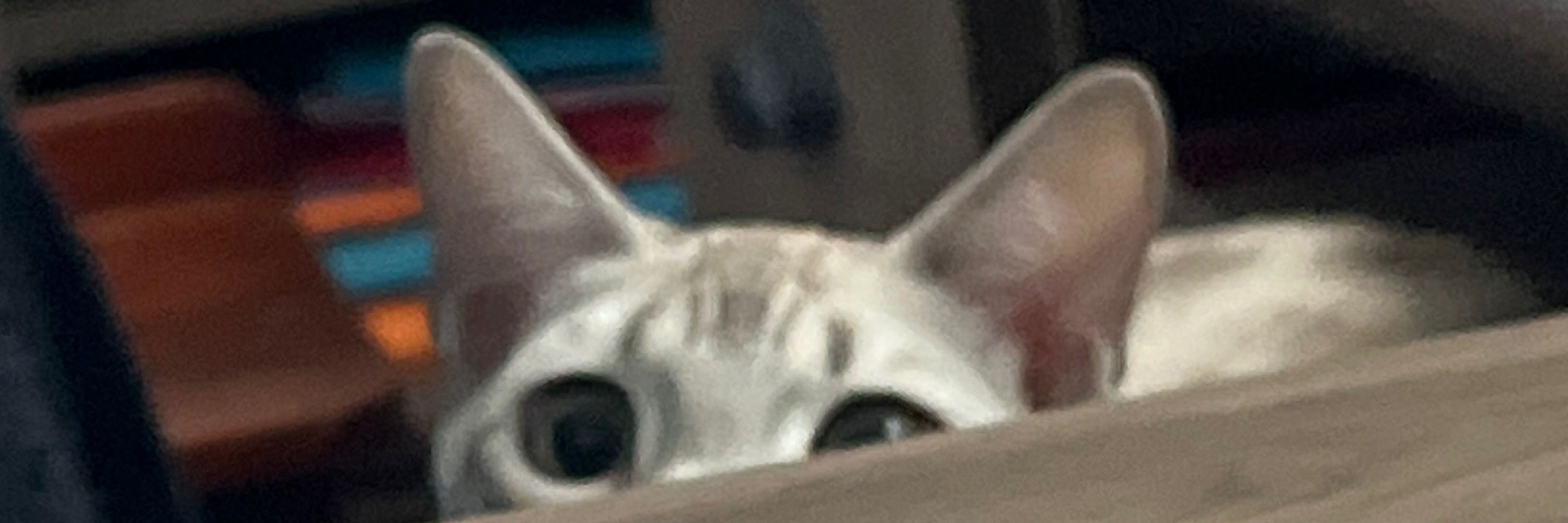 Minti
