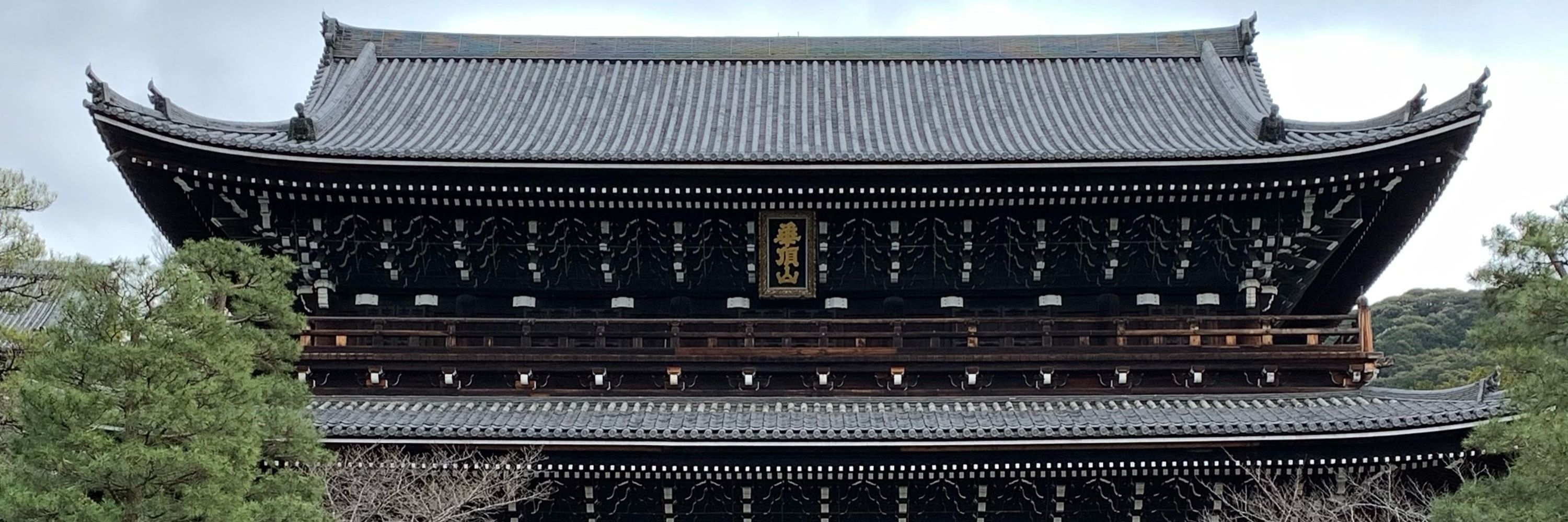 Osamu TSUNODA（角田 治）