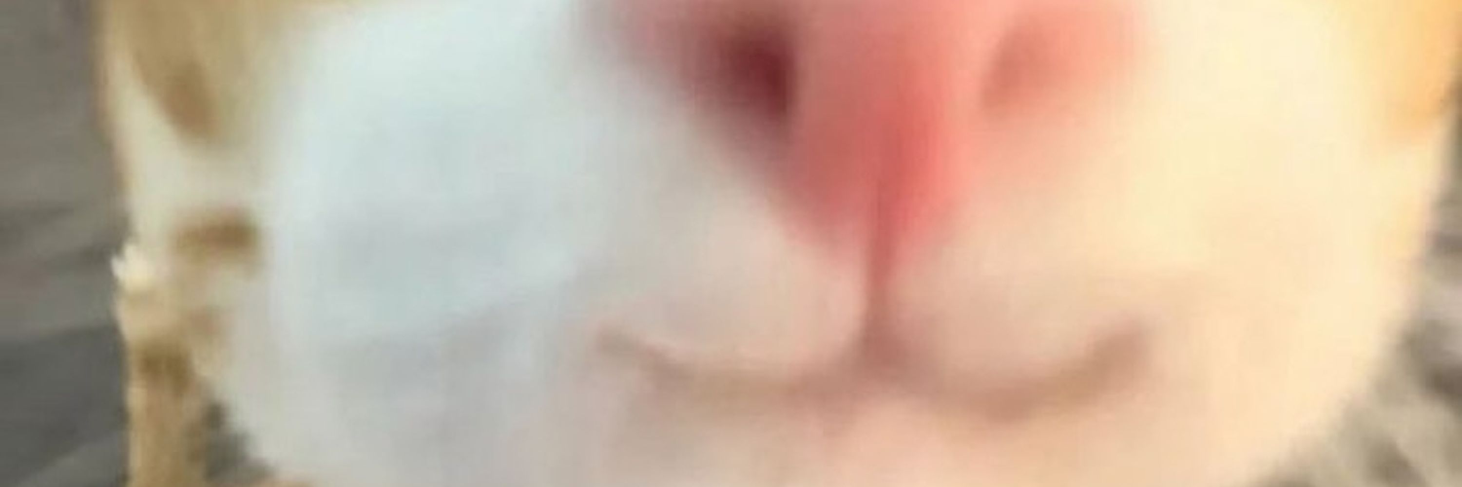CA