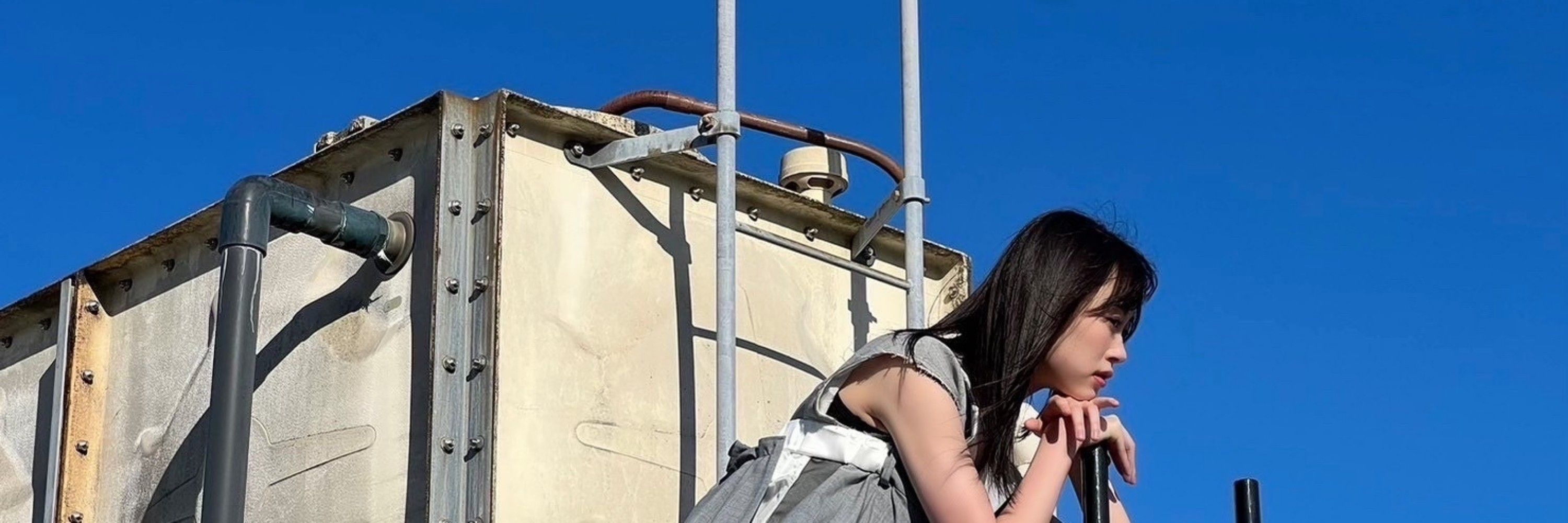 はりー