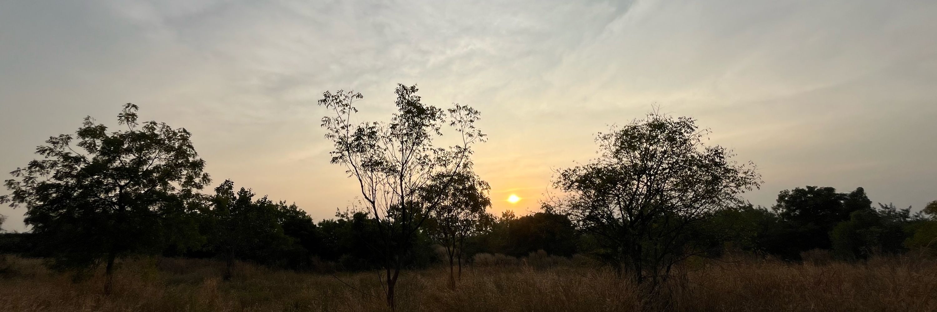 Harsha Kumar