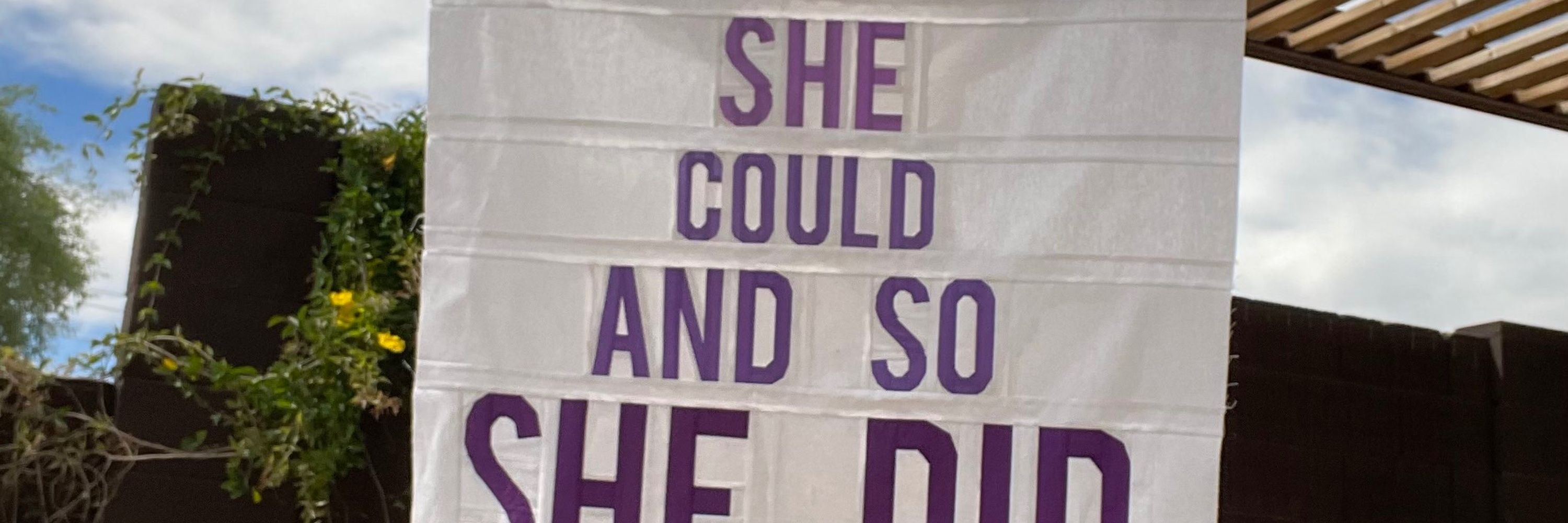SilverLinedStitches