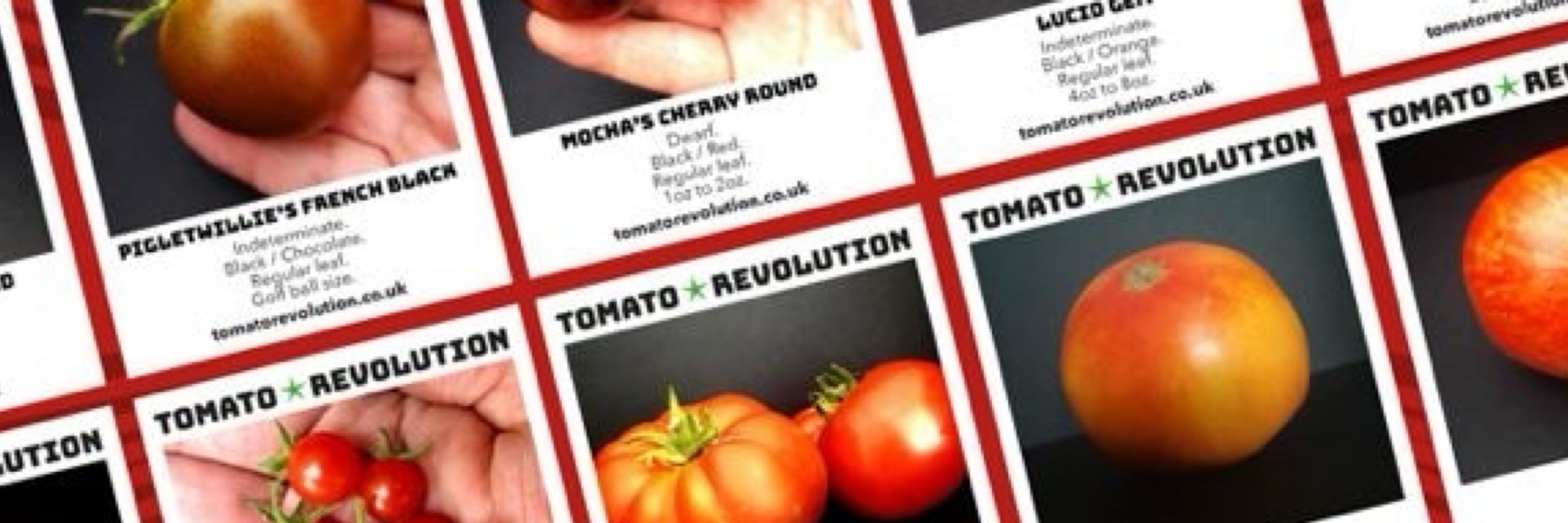 Tomato Revolution Seeds