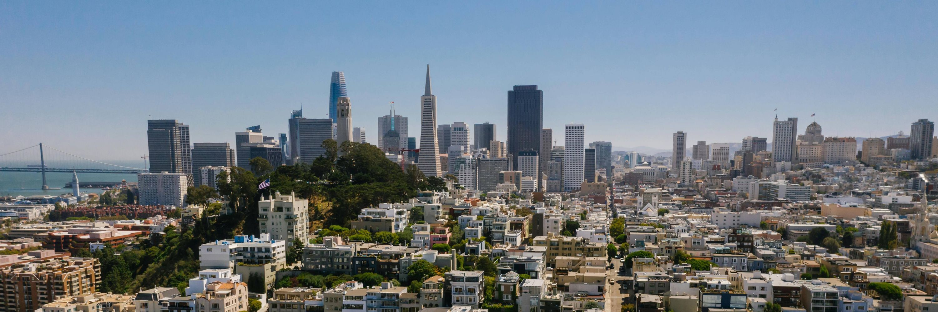 San Francisco Democratic Party