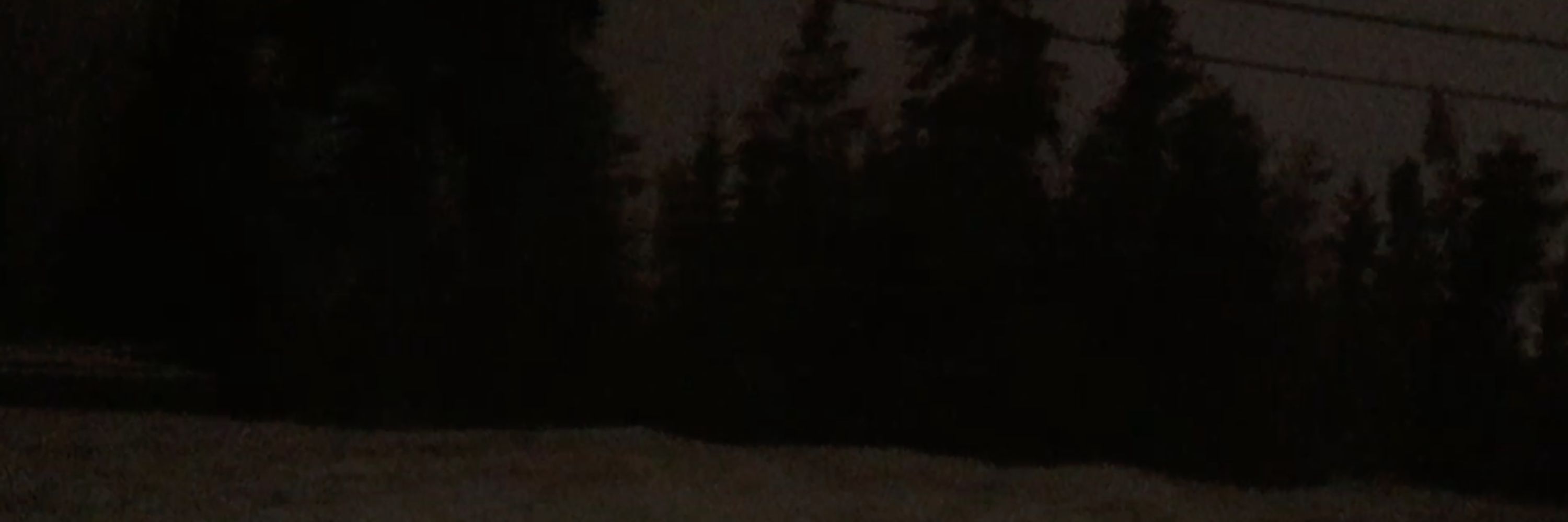 Jesse :)
