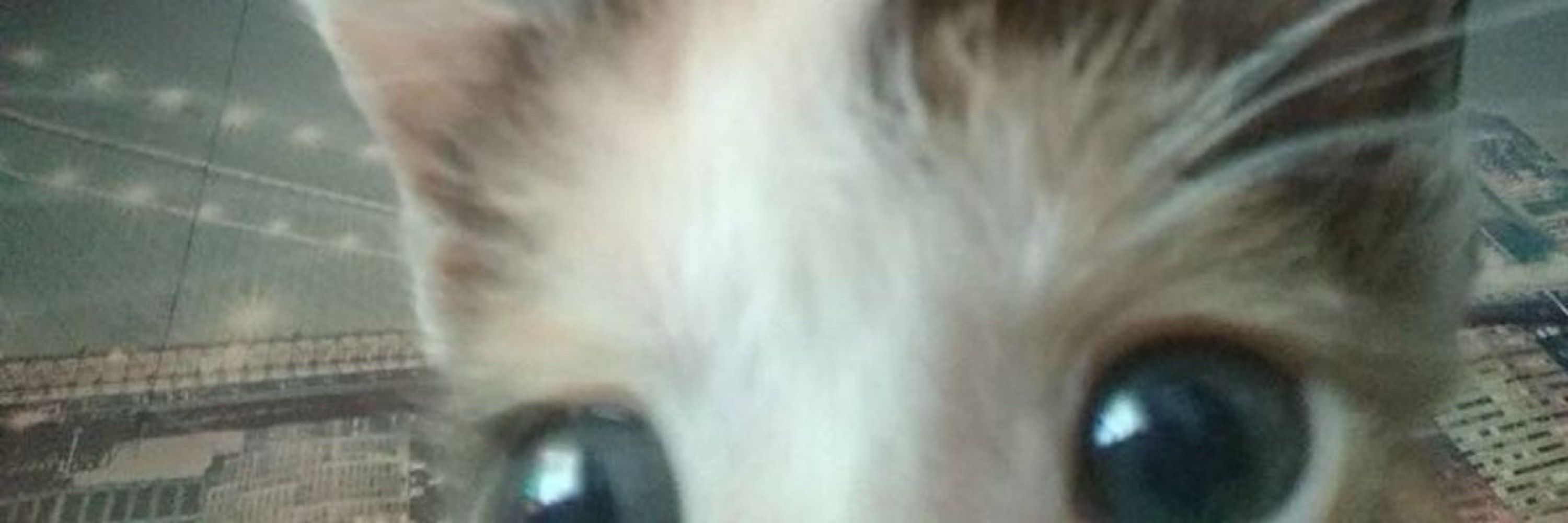 s2