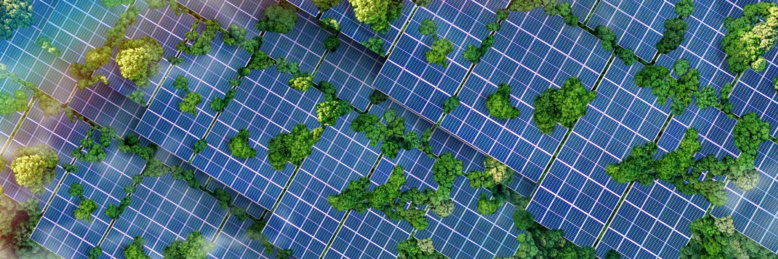 IOPP Environment and Energy